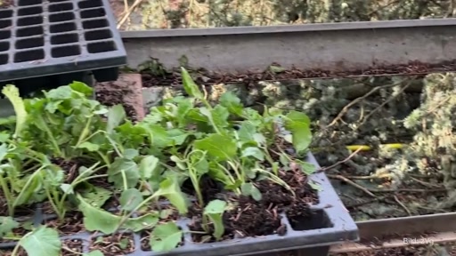 Bio Gärnterei nach Sturm gerettet