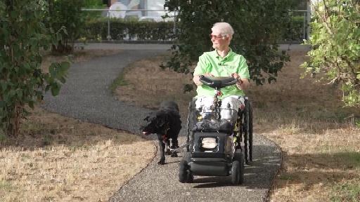 Der Hund als unverzichtbarer Begleiter