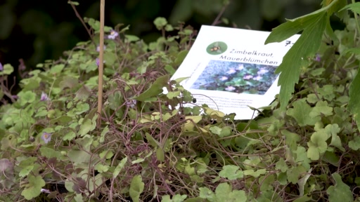 HerbstGartenZeit kehrt in die Merian Gärten zurück