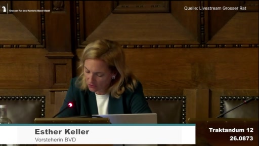 Initiative «Go Basel Go» sorgt für Kritik im Grossen Rat